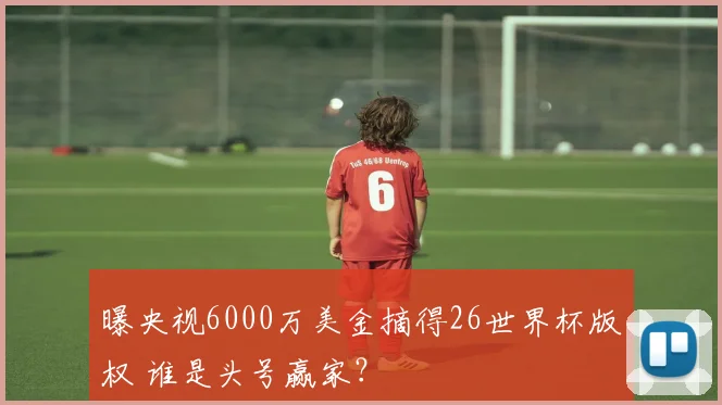 曝央视6000万美金摘得26世界杯版权 谁是头号赢家？